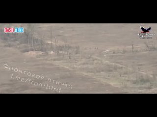 🇺🇦🇷🇺 Прямое попадание артиллерии в штурмовую группу противника на запорожском направлении