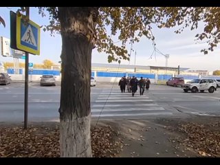 В Ачинске полицейскими задержан пассажирский автобус с нелегалами