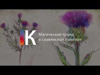 Магические травы в славянской культуре.