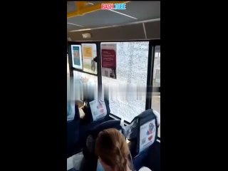 🇷🇺 В Подмосковье мигранты не заплатили за проезд и разбили стёкла в автобусе, где были женщины и дети