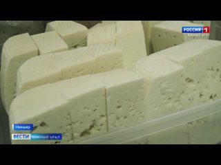 Крафтовый сыр из козьего молока начали выпускать в Челябинской области