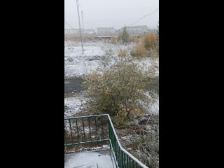 Снегопад на Колыме. Первый снег прошел в городе Сусуман (Магаданская область, 2 сентября 2023).