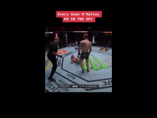 Sean O’Malley’s UFC KO Highlights (besides the first one).mp4 sean o’malley’s ufc ko highlights (besides the first one).mp4