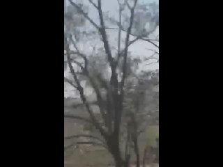 Очередной пылевой смерч появился на Ставрополье  видео