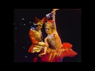 American Ballet Theatre at The Metropolitan Opera House (American Ballet Theatre, 1978)