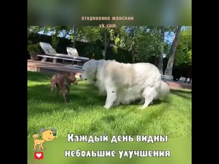 Приятно видеть, как она с трудом пытается вернуться к жизни