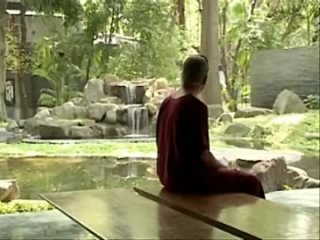 EXPERIENCES from the OSHO International Meditation Resort
