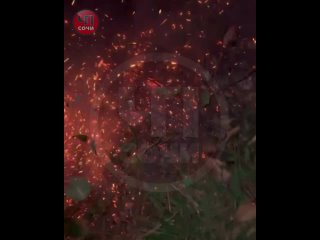 Дагомысское ДРСУ тушит пожар в лесном массиве на Яна Фабрициуса возле АЗС «Лукойл».