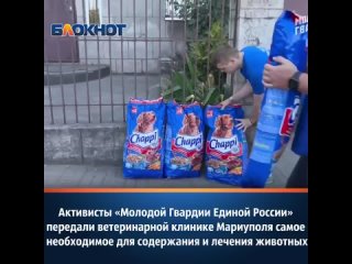 Активисты «Молодой Гвардии Единой России» передали ветеринарной клинике Мариуполя необходимое для содержания и лечения животных