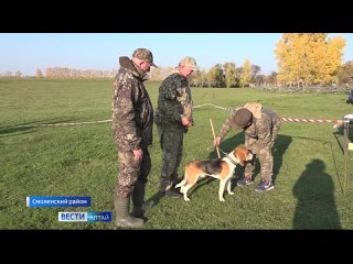 Выставка гончих собак прошла в селе Старотырышкино Смоленского района.