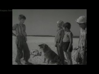 «Тайна» (1963) - детский, приключения, реж. Фаик Гасанов