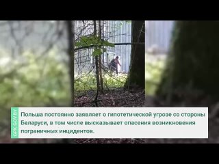 Белорусский погранкомитет  опубликовал видео, на котором польские силовики стреляют поверх голов беженцев