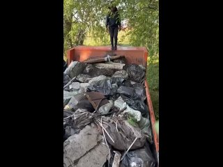 Тюменцы спасают лес в Комарово — там настоящая свалка
