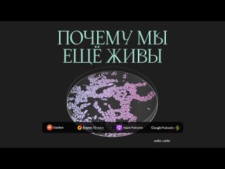 [Либо🔺Либо] Медленный убийца: почему мы не можем победить туберкулёз