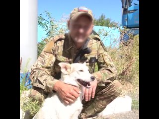 Боец вологодского полка спас собаку в зоне СВО