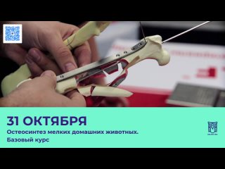 Андрей Комаров - Остеосинтез мелких домашних животных.