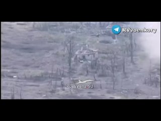 ‼️ Batailles pour Kleshcheevka : la reconnaissance traque et détruit les groupes d’assaut des forces armées ukrainiennes