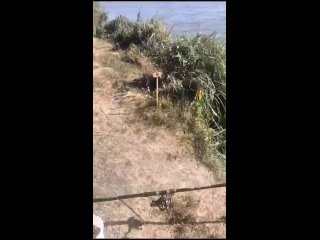 Видео от Рыбалка в Краснодаре, WhatsApp