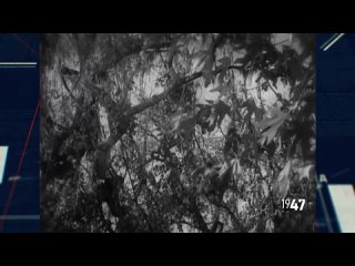 [Parfenon] #НМДНИ 1947: МиГ и АК. Снова голод. «Чёрная кошка». Огорожен соцлагерь. Трофейное кино. Москва-800