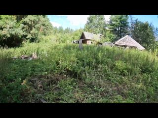 Скоро лес поглотит заброшенный дом  Республика Татарстан Зеленодольский район Поселок Раифский