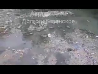 Видео от Аргаяш Трэш Долгодеревенское Челябинск..mp4