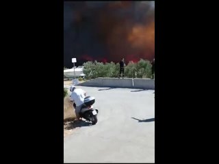 Лесной пожар на острове Чиово в Хорватии. 27 июля 2023 года.