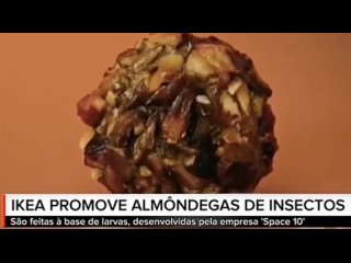 Икея рекламирует фрикадельки из личинок, чтобы «люди искали альтернативные источники протеина и спасали планету».