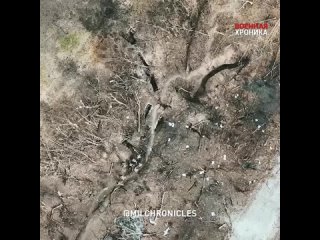 🔥Эксклюзив Военной хроники с Запорожского направления Уникальное видео уничтожения колонн ВСУ район Работино Вербовое🔥