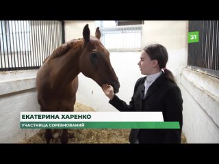 В Челябинске прошел чемпионат и первенство области по конному спорту