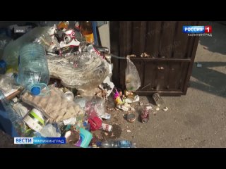 В Калининграде деятельность предприятия, которое вывозило мусорные отходы ночью, признали незаконной