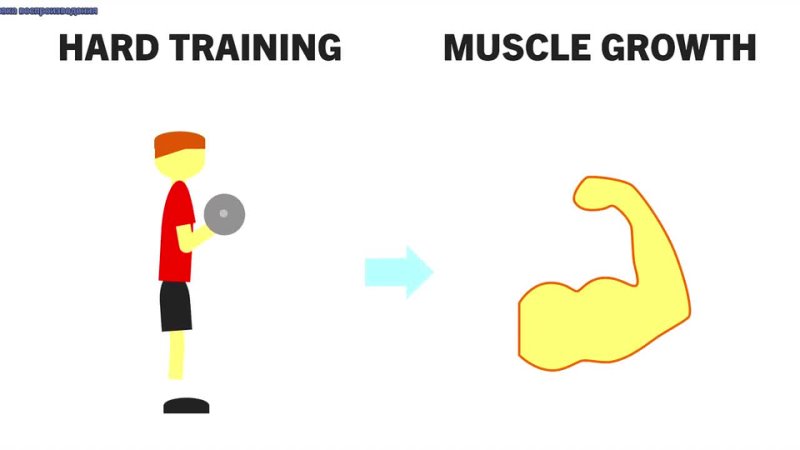 How Hard Should You Train for Muscle