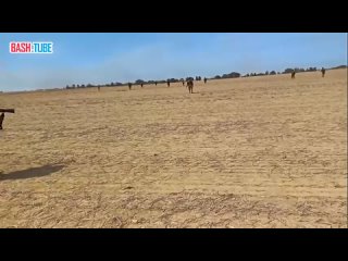 🇮🇱🇵🇸 ХАМАС показал видео взятия под контроль военной базы «Раим»