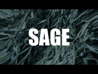 Sage горизонтаьный концерт-медитация в Волгограде 25 ноября