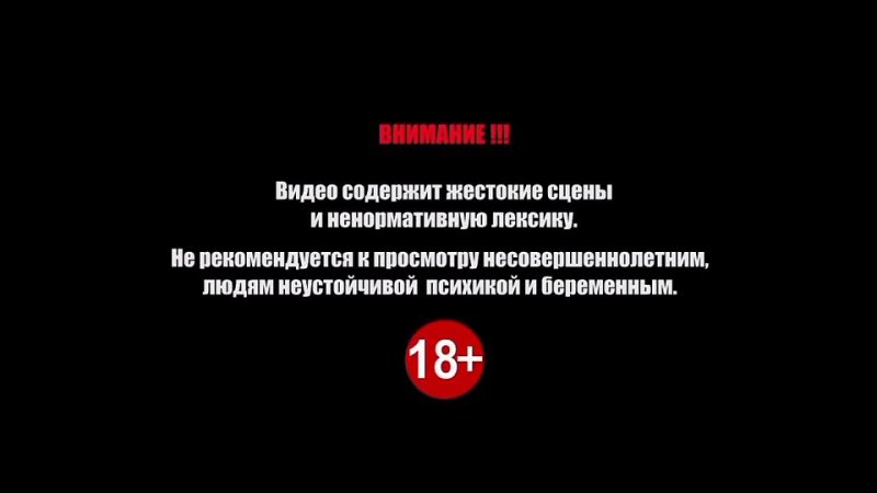 Внимание может быть определено. Осторожно присутствует ненормативная лексика. Дисклеймер для игры. Не рекомендуется к просмотру. Дисклеймеры в играх.