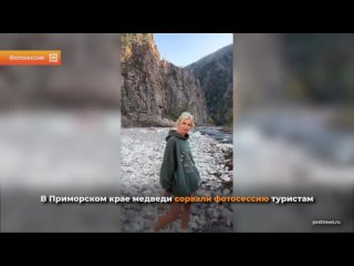 В Приморском крае медведи не дали сделать фото туристам