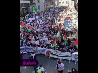 🇪🇺 ️🇯🇴En los países de Europa se celebran manifestaciones en apoyo de Palestina: las calles están llenas de miles de partidarios