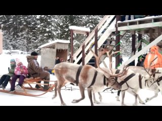 Катание детей на новогодней программе в Уральской резиденции Деда Мороза