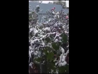 В Отрадненском районе на Кубани выпал первый снег