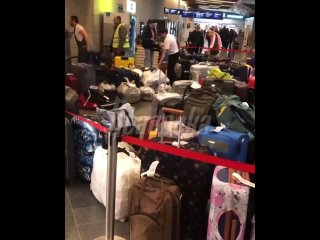 В аэропорту Внуково произошел сбой в работе системы обработки багажа — в залах скопились огромные очереди, а все чемоданы люди с