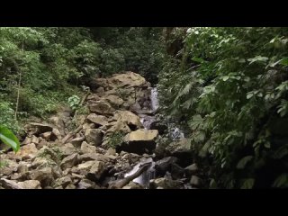 Amazing Quest Stories from Costa Rica   Somewhere on Earth Costa Rica   Free Documentary