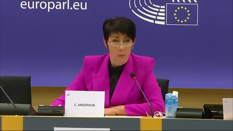 Německá europoslankyně Christine Anderson