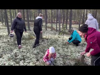 Видео от МБДОУ “Белоснежка“ г. Губкинский