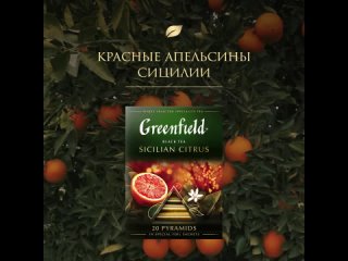 GREENFIELD TEA