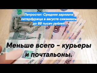 Петростат: Средняя зарплата петербуржца в августе снизилась до 88 тысяч рублей