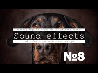 Звуки собак, псов, щенков, маленьких и больших | АудиоКайф
