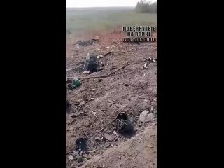 🇷🇺🇺🇦Chronicles of the Ukrainian counter-nag