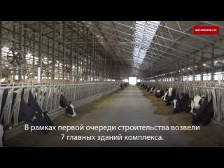 Друзья, готовим к открытию молочный животноводческий комплекс TH-Rus Milk Food