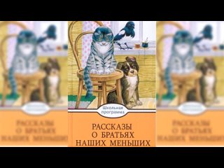 Рассказы о братьях наших меньших.