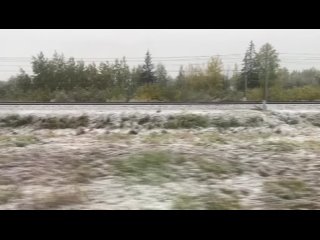 В Ленобласти снова выпал снег - на этот раз в Тосно