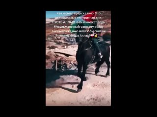 tiktok_musulmanka_che_7287523165520022817__1696784647286_ALLAHU AKBAR Download MP4